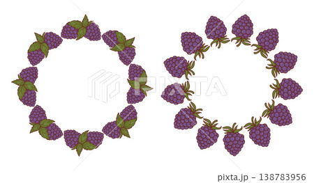 Round Wreath Frame with Purple Blackberries Set. Isolated Botanical Forest Wild Berry Circle Border. Organic Fruit Template with Empty Copy Space. Vector Illustration. 138783956