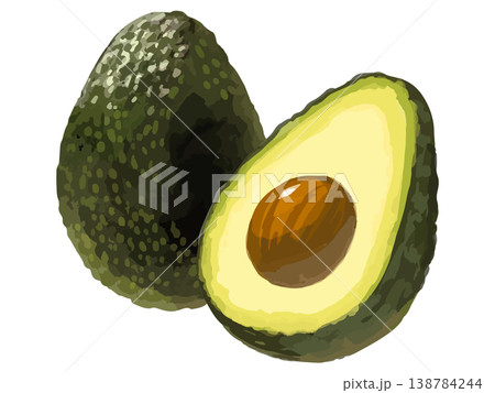 成熟前の緑のアボカド丸ごと1個と半分カット 138784244