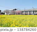 横浜市都筑区川和町駅の菜の花畑 138784260
