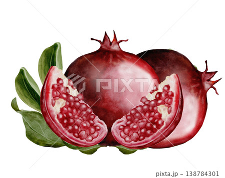 Pomegranate fruit watercolor. Realistic botanical illustration on a white background. Perfect for packaging design, organic cosmetics, invitations, and wellness branding. Handmade. 138784301