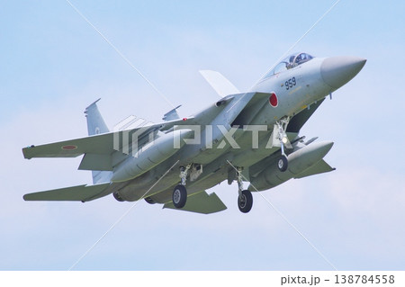 着陸態勢の第303飛行隊のF-15J 着陸態勢の第303飛行隊のF-15J 138784558