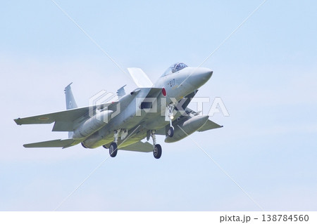 着陸態勢の第303飛行隊のF-15J 138784560