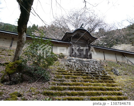 常照皇寺の御車返しの桜 138784678