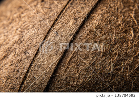 The scene captures the texture of coconut husk with visible fibers and subtle surface features under natural light 138784692