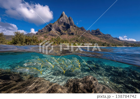 Fish swim in clear water near rocks below a mountain in Tahiti under a bright blue sky. The scene shows nature and water life Fish swim in clear water near rocks below a mountain in Tahiti under a bright blue sky. The scene shows nature and water life 138784742