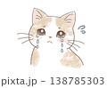泣いている猫 138785303
