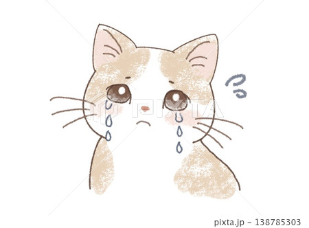 泣いている猫 138785303