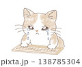 泣きながら頑張る猫 138785304