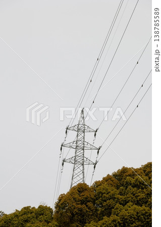 山の上の送電鉄塔　曇り空　樹木　コピースペースあり 138785589