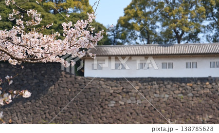 皇居の桜 138785628