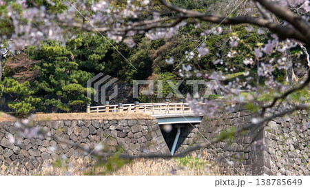 皇居の桜 138785649