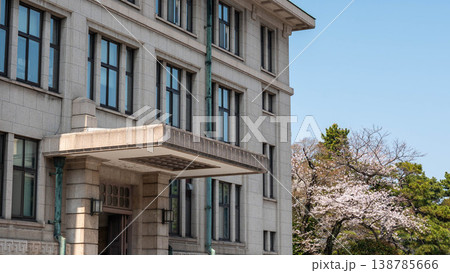皇居の桜 138785666