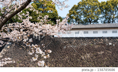 皇居の桜 138785686