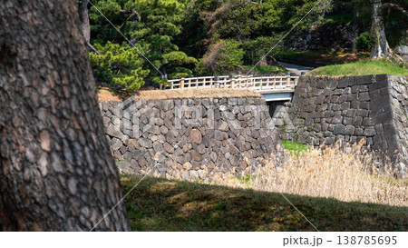 皇居の桜 138785695