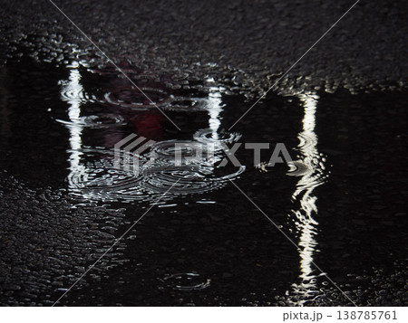 雨の一日 138785761