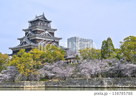 広島城と桜<2026年3月> 広島城と桜<2026年3月> 138785788
