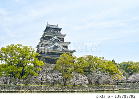 広島城と桜<2026年3月> 138785792