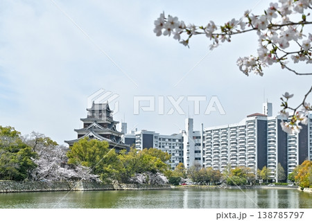 広島城と桜<2026年3月> 広島城と桜<2026年3月> 138785797