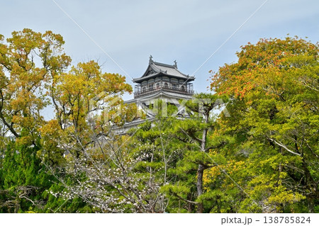 広島城の天守閣<2026年3月> 広島城の天守閣<2026年3月> 138785824