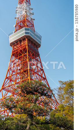 東京タワー 138785980