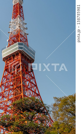 東京タワー 東京タワー 138785981