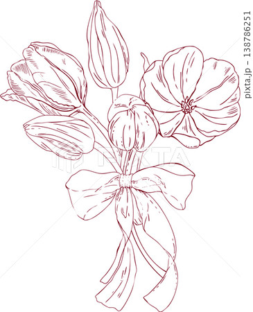 A bouquet of vector tulip buds and flowers tied with a bow, hand-drawn line art, scribbles, and linear art A bouquet of vector tulip buds and flowers tied with a bow, hand-drawn line art, scribbles, and linear art 138786251