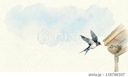 巣に餌を運ぶツバメの親子の水彩イラスト コピースペースあり 巣に餌を運ぶツバメの親子の水彩イラスト コピースペースあり 138786307