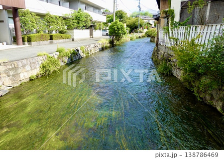 京都　白川筋の石泉院橋付近から白川の流れを見た風景　京都市東山区 138786469
