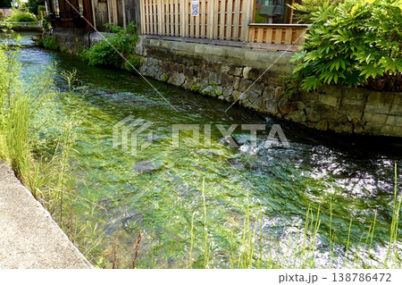 京都 白川筋の石泉院橋付近から白川の流れを見た風景 京都市東山区 京都 白川筋の石泉院橋付近から白川の流れを見た風景 京都市東山区 138786472