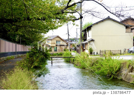 京都　白川筋のもっこ橋が見える風景　京都市東山区 138786477