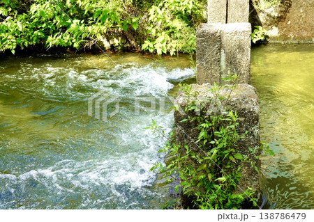 京都　白川児童プール跡を偲ばせる杭が見える白川の風景　京都市東山区 138786479