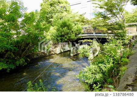 京都 琵琶湖疏水から分水する仁王門橋を白川側から見た風景 京都市東山区 京都 琵琶湖疏水から分水する仁王門橋を白川側から見た風景 京都市東山区 138786480