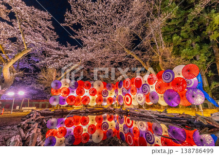 日本　日光　鬼怒川温泉　鬼怒川温泉神社　藤原町護国神社の春の桜のライトアップ 138786499