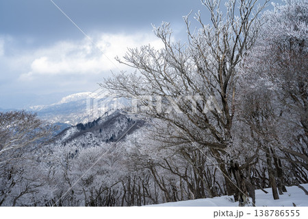山の絶景を見守る堂々たる霧氷の巨木 138786555
