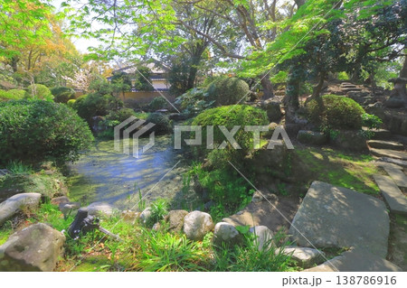 大原邸（北台武家屋敷・杵築城下町） 138786916