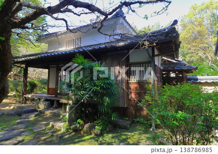 磯矢邸（北台武家屋敷・杵築城下町） 138786985