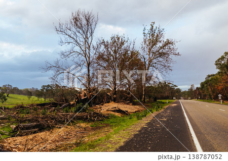 Longwood Bushfire Damage in Gobur Victoria Australia 138787052