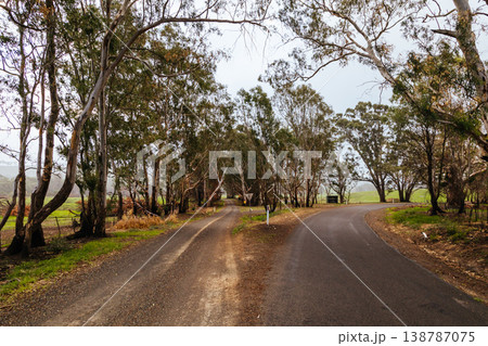 Longwood Bushfire Damage in Gobur Victoria Australia 138787075
