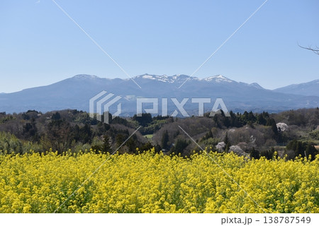 安達太良山と菜の花 安達太良山と菜の花 138787549
