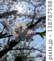 青空に映える満開の桜の花 クローズアップした春の背景素材 138787598