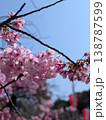 青空に映える満開の桜の花 クローズアップした春の背景素材 138787599
