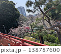 上野恩賜公園の桜まつり 満開の桜と提灯の下で賑わうお花見風景 138787600