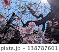 青空に映える満開の桜の花 クローズアップした春の背景素材 138787601