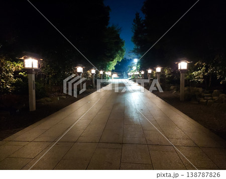 夜の寒川神社の参道 夜の寒川神社の参道 138787826