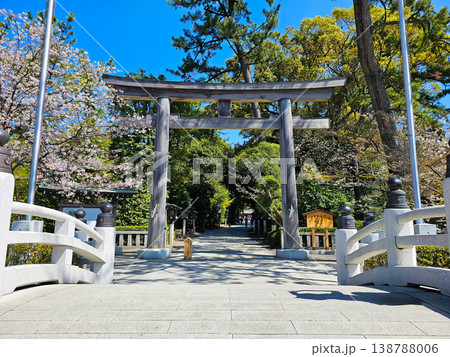寒川神社の鳥居と桜 寒川神社の鳥居と桜 138788006