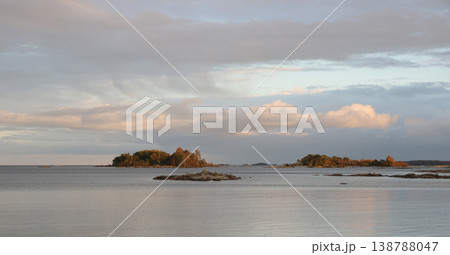 Late autumn scene in Vita Sannar, Mellerud, Sweden. 138788047