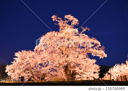 塩ノ崎の大桜 138788069