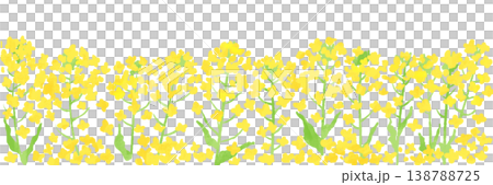 黄色い菜の花畑のバナー背景イラスト 黄色い菜の花畑のバナー背景イラスト 138788725
