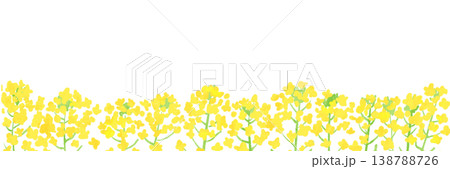 菜の花畑の手描き水彩風バナー背景イラスト 138788726