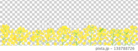 菜の花畑の手描き水彩風バナー背景イラスト 138788726